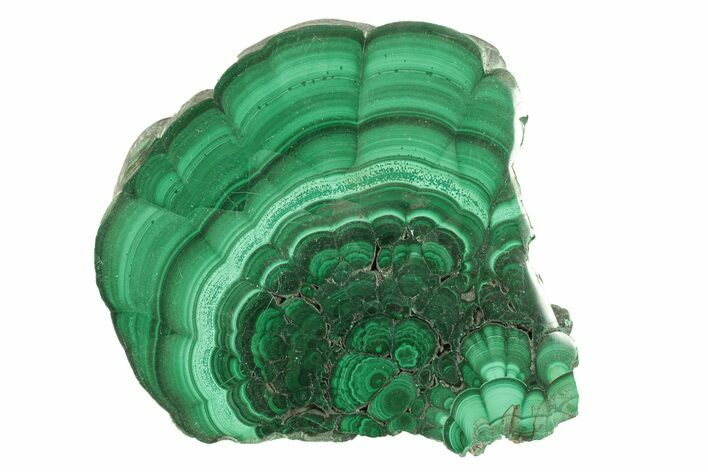 Polished Malachite Slab - DR Congo #264829